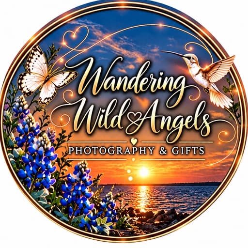 Wandering Wild Angels profile photo