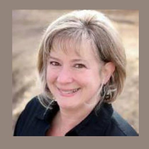 The Bargain Boutique, LLC DBA For Playful Minds profile photo
